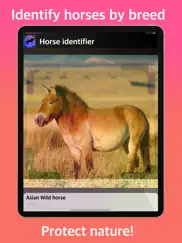 horse identifier ipad images 2