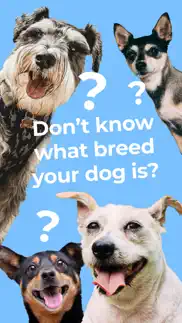 dog breed identifier by dogo iphone capturas de pantalla 1