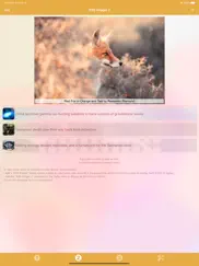 widget rss iPad Captures Décran 3