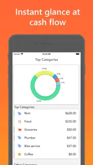 easy spending budget iphone capturas de pantalla 1