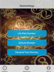 your numerology calculator ipad images 1