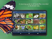 butterfly id - uk field guide ipad images 4