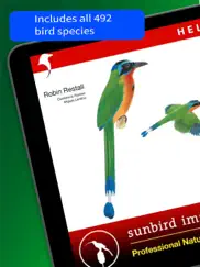 all birds trinidad and tobago ipad images 1