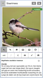 vogels in nederland pro iphone capturas de pantalla 1