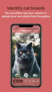 cat scanner iphone images 1
