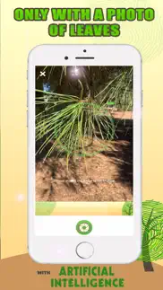 tree identification with ai iphone resimleri 2