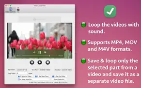 video looper pro iphone images 2