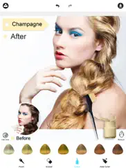 hair color dye -hairstyles wig ipad images 2