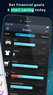 moneystats - budget planner iphone images 2