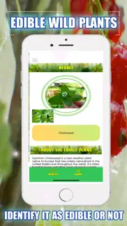 edible wild plants iPhone Captures Décran 3