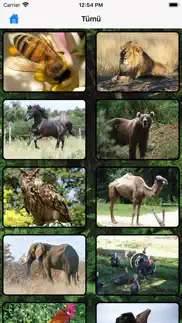 hayvan sesleri iphone resimleri 3