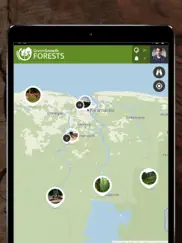 green growth forests ipad images 1