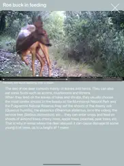 nature et faune iPad Captures Décran 4