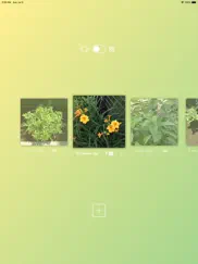 garden camera ipad images 2