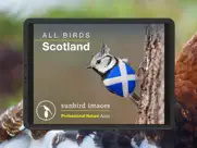 all birds scotland photo guide ipad images 1