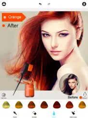 hair color dye -hairstyles wig ipad images 1