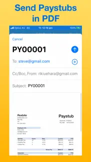 paystub maker iphone images 2