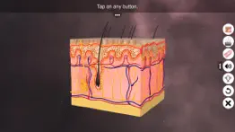 skin: integumentary system iphone images 1