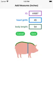 pig weight estimator iphone images 2