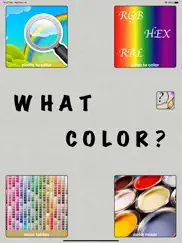 what color? iPad Captures Décran 1