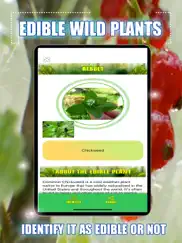 edible wild plants iPad Captures Décran 3