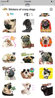 stickers of crazy dogs iphone images 3