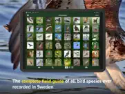 all birds sweden - photo guide ipad bildschirmfoto 2