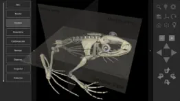 3d frog anatomy iphone bildschirmfoto 3
