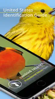 bird id usa - backyard birds iphone bildschirmfoto 2