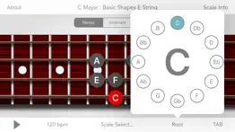 scales for bass guitar iphone capturas de pantalla 3