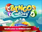 bingo bay - play bingo games ipad images 4
