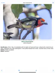 botswana wildlife guide ipad images 1