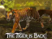ultimate tiger simulator 2 ipad images 1