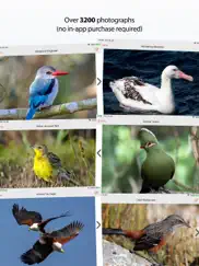 sasol ebirds southern africa ipad images 4