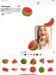 animated watermelon stickers ipad images 2