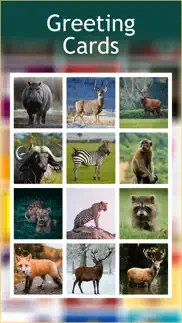 wildlife photo frames deluxe iphone images 4