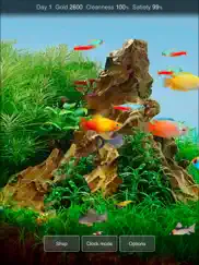 tropical fish tank - mini aqua ipad images 2