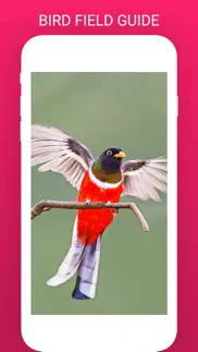 birdlens - identify birds app iphone images 3