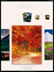 art puzzle game for creativity ipad resimleri 1