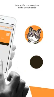 pixel the cat iphone images 2