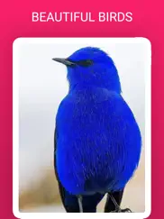 birdlens - identify birds app ipad images 2