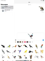 exotic bird stickers ipad images 1