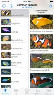 solomon islands fish id iphone images 2