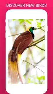 birdlens - identify birds app iphone images 4