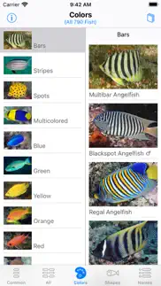 solomon islands fish id iphone images 4