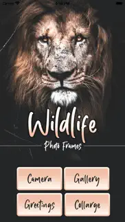 wildlife photo frames deluxe iphone images 1