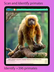 primate identifier iPad Captures Décran 1
