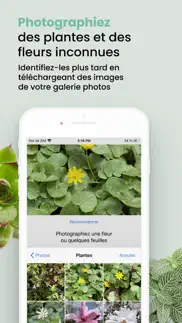 plant id match - reconnaitre iPhone Captures Décran 3