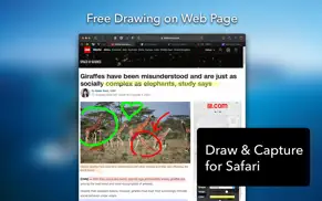 draw on web page for safari iphone images 2