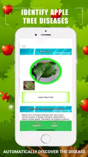 identify apple tree diseases iphone resimleri 3